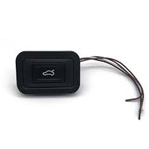 Rear Door Switch